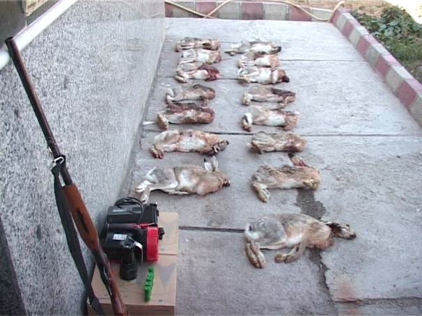 دستگیری 6 شکارچی متخلف در اسکو