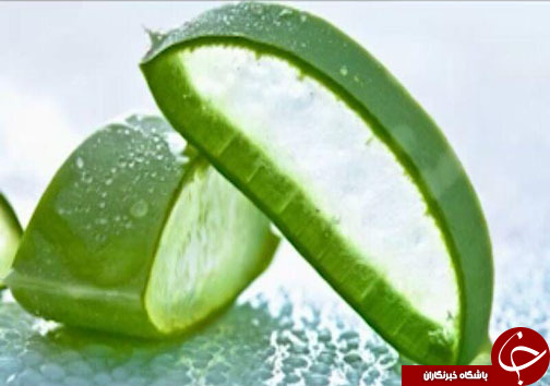 اکسیر معجزه آسای آلوئه ورا در دندانپزشکی