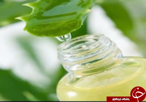اکسیر معجزه آسای آلوئه ورا در دندانپزشکی