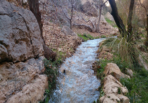 چشمه زیبا در منطقه گردشگری "خرتنگ" + فیلم