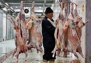 فعالیت 14 کشتارگاه صنعتی و سنتی در استان اردبیل