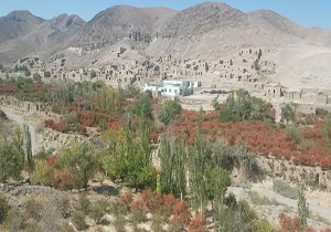 طبیعت زیبا و دیدنی روستای «فخران» + فیلم
