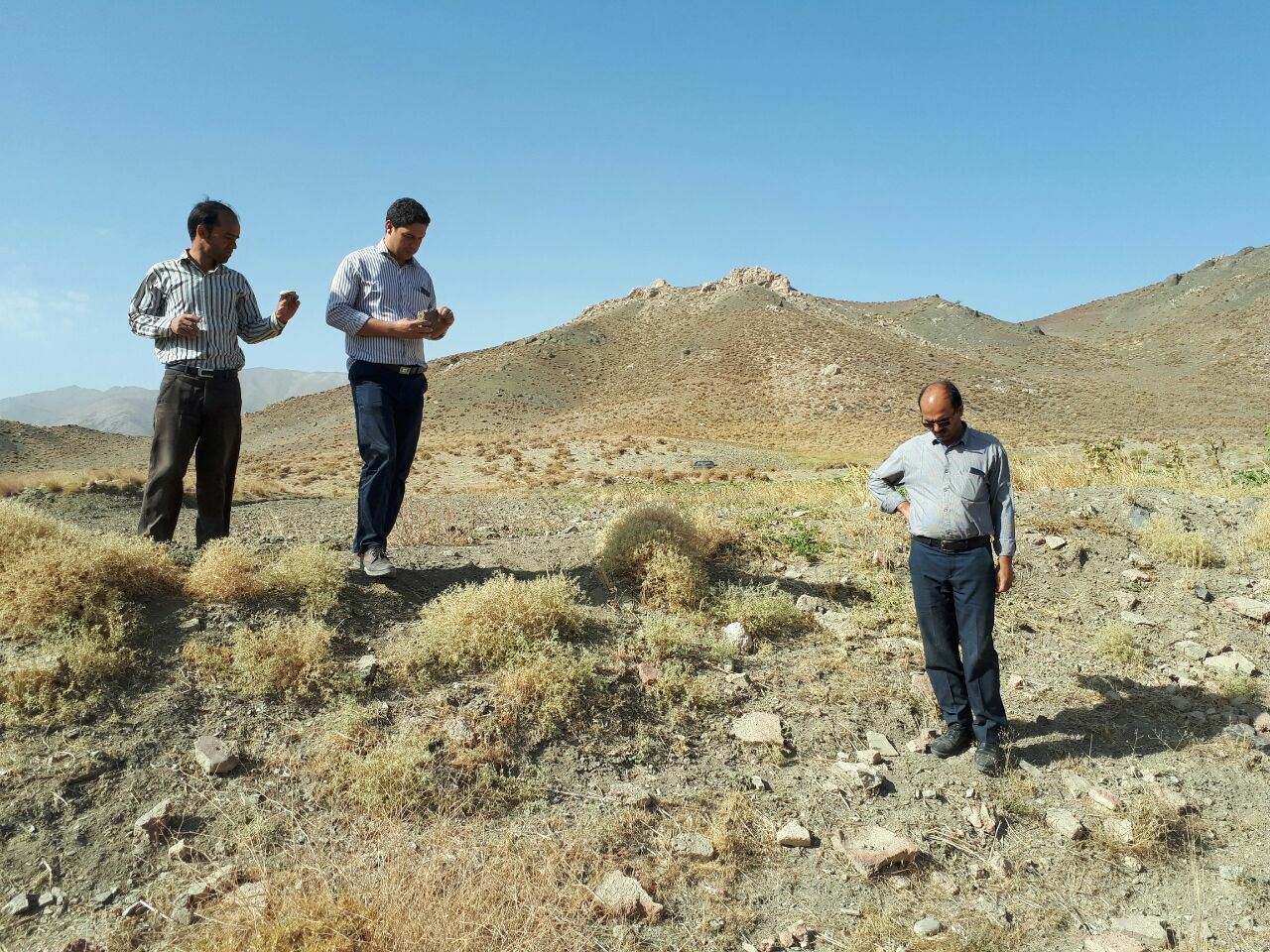 شناسایی پنج محوطه تاریخی درشهرستان تربت حیدریه