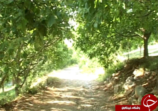بی توجهی میراث فرهنگی لرستان به ظرفیت‌های گردشگری سلسله