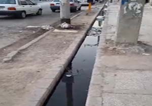 گلایه شهروندان از وضعیت اسفناک بهداشت در جمشیدآباد + فیلم