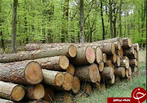 نگاهی گذرا به مهمترین رویداد&zwnj;های یکشنبه ۱۶ مهرماه در مازندران
