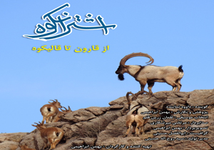 قرار گرفتن مستند کارگردان لرستانی در جمع برترین‌های کشور