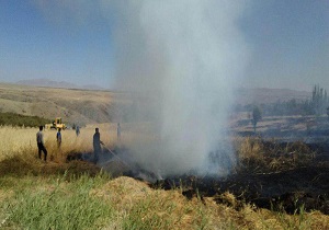 آتش‌سوزی در باغات قاراتپه شهر بن