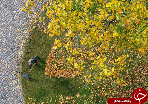 تصاویر روز: از مسابقه خودروهای خورشیدی در استرالیا تا تظاهرات در حمایت از اتحاد اسپانیا