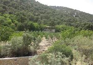 باز پس گیری اراضی ملی تصاحب شده از زمین خواران
