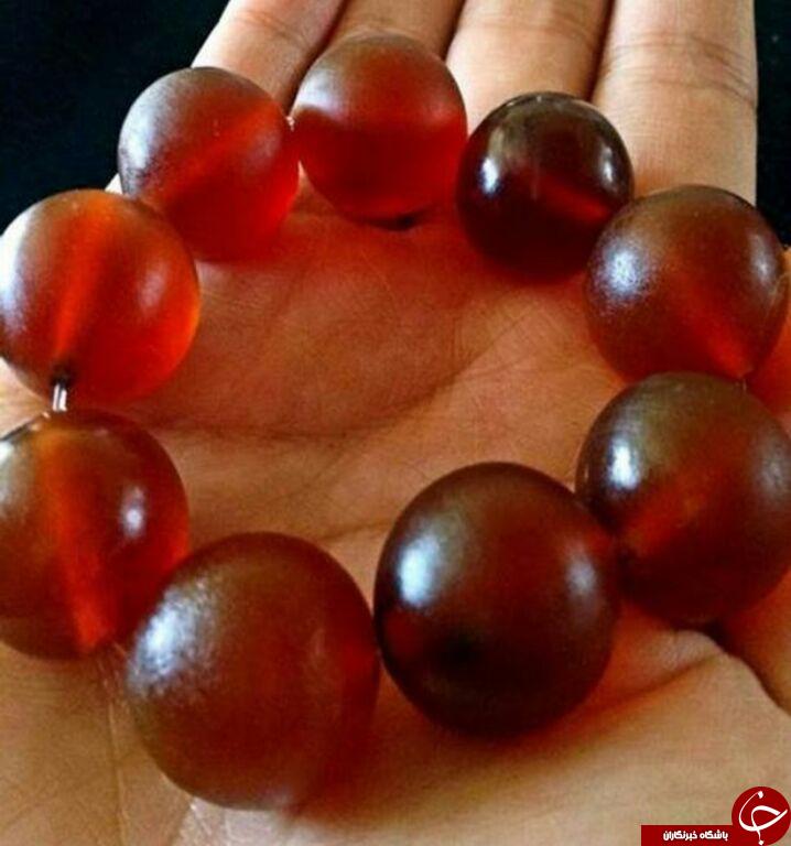 بلایی که در شرق&nbsp; آسیا بر سر فیل ها می آورند + تصاویر