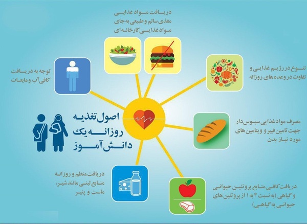 اصول تغذیه روزانه یک دانش آموز چیست + اینفوگرافی