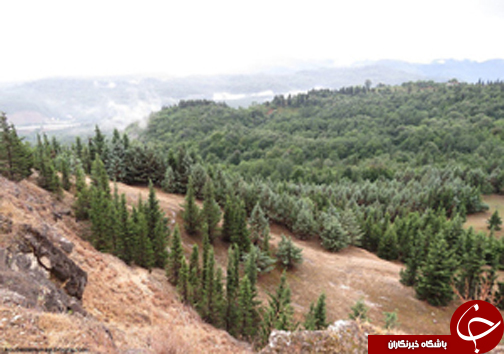 نگاهی گذرا به مهمترین رویداد&zwnj;های دوشنبه ۱۷ مهرماه در مازندران