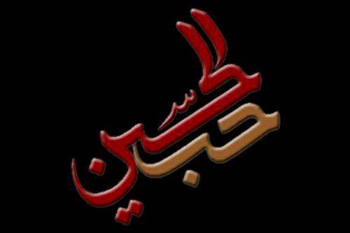 حمید استیلی مهمان &laquo;حب الحسین&raquo; می&zwnj;شود