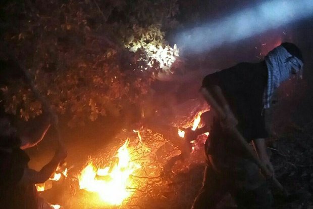 آتش سوزی منطقه صوفی کبیرکوه در شهرستان ملکشاهی مهار شد