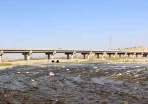 بهره برداری از پل زیارتعلی رودان