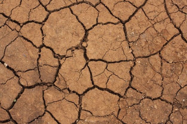 راهکارهای پیشگیری از خشکی پوست در فصل سرما