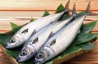 نرخ انواع ماهی در میادین+ جدول