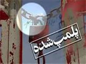 جلوگیری از فعالیت سه واحد آلاینده در رضوانشهر