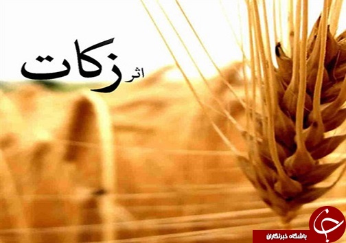 آنچه در قزوین گذشت