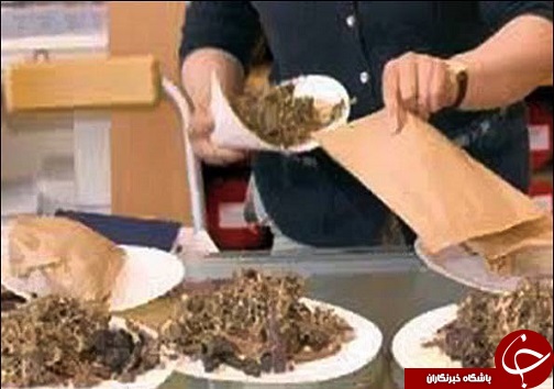 آنچه در قزوین گذشت