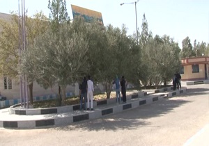 شهر زیتون زار خراسان جنوبی