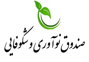 تا سال 1402 پولی در صندوق نوآوری و شکوفایی نمی&zwnj;ماند/ اختصاص هزار میلیارد تومان برای شرکت&zwnj;های دانش بنیان