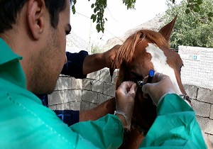 انتصاب رئیس جدید دانشگاه علوم پزشکی کرمانشاه