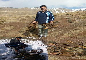 جمع آوری 30 تله زنده گیری پرنده در مشگین شهر
