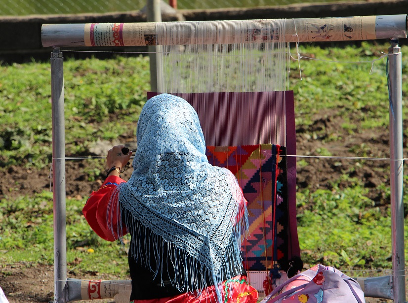 اجرایی شدن طرح روستای بدون بیکار در همدان