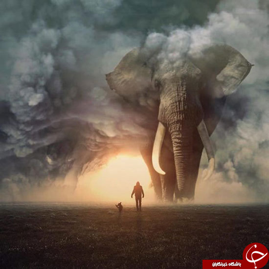 تصاویر هنری شگفت انگیز از حیوانات عظیم الجثه