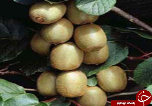 نگاهی گذرا به مهمترین رویداد&zwnj;های ۲۰ مهر ماه در مازندران