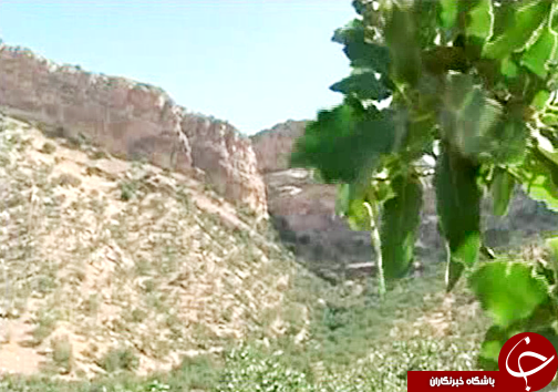 سنگ نگاره&zwnj;های غار میرملاس نشانه&zwnj; وجود تمدنی باستانی در لرستان/ تخریب این نقوس در سال&zwnj;های اخیر+ تصاویر