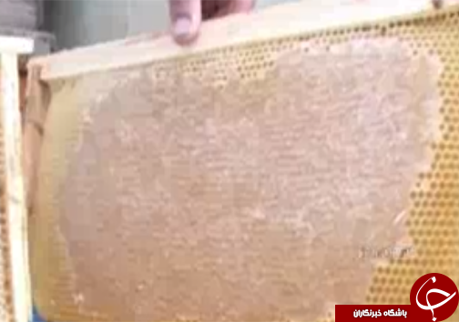 مدال برنز عسل تجاری لرستان دررقابت جهانی مدال برنز عسل تجاری لرستان دررقابت جهانی