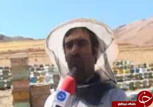 مدال برنز عسل تجاری لرستان دررقابت جهانی