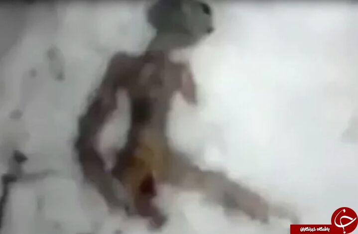 کرملین واکنش نشان داد؛ کشف موجود فضایی یخ زده در روسیه! فیلم