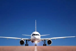 زمین گیر شدن سودجوها در باند فردوگاه + فیلم