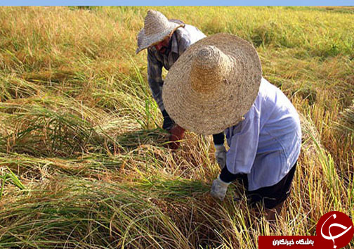 نگاهی گذرا به مهمترین رویداد&zwnj;های جمعه ۲۱ مهرماه در مازندران