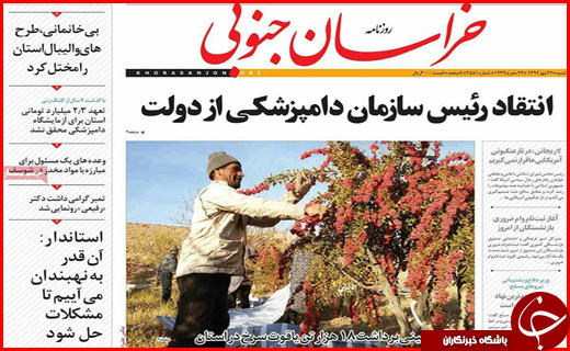 از جاده های پر پیچ و خم و سفرهای بی بازگشت تا کارگران زن زیر چرخ بی قانونی