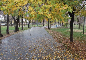 احتمال بارش باران برای کرمانشاه