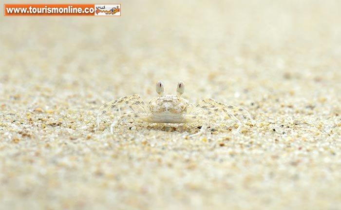 چند عکس فوق العاده از دنیای پنهان ببینید!+تصاویر