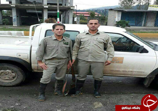 کشف ۳۱ اسلحه شکاری از شکارچیان متخلف در مازندران