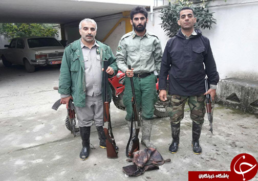کشف ۳۱ اسلحه شکاری از شکارچیان متخلف در مازندران