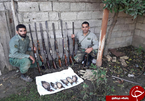 کشف ۳۱ اسلحه شکاری از شکارچیان متخلف در مازندران