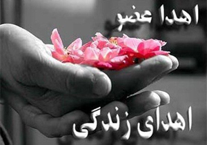 اهدای اعضای بیمار مرگ مغزی در چهارمحال و بختیاری