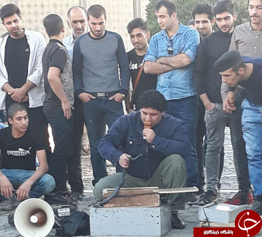 پای مارگیران به تئاترشهر باز شد + تصاویر
