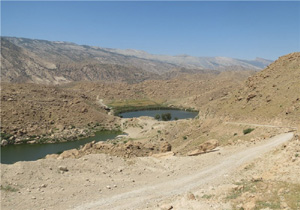 درخواست دوستداران محیط‌ زیست برای احیای تالاب گری بلمک