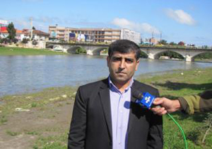 آغاز زمستان گذرانی کاکایی‌ها در تنکابن