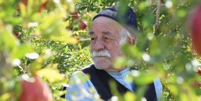 &laquo;برگ جان&raquo; در سینماهای هنر و تجربه اکران می&zwnj;شود