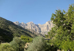 پیش بینی "وزش باد" نسبتاً شدید